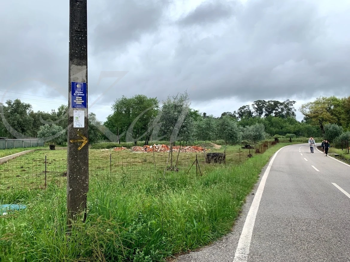 e_afiUd018svctjmvcw1uukas_wocx9r.jpg?type=e1920_std