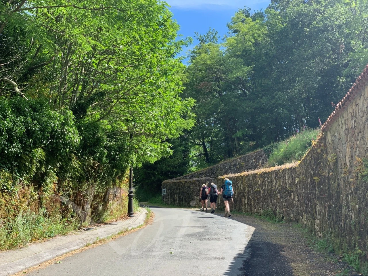 f_d6cUd018svcej9yxxwpqwz4_wocx9r.jpg?type=e1920_std