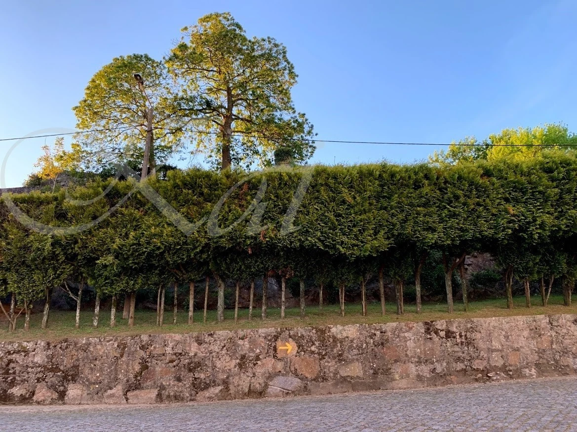 3_i65Ud018svc19gc2gwheaona_wocx9r.jpg?type=e1920_std