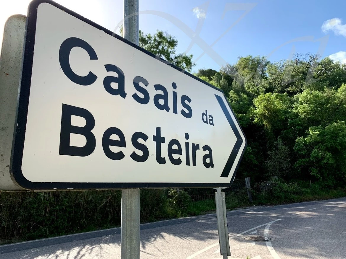 3_487Ud018svc1dr64vdqgd9fm_wocx9r.jpg?type=e1920_std