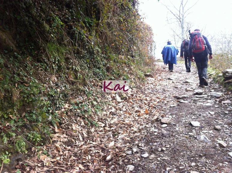 image_5863928231515607631907.jpg?type=w773