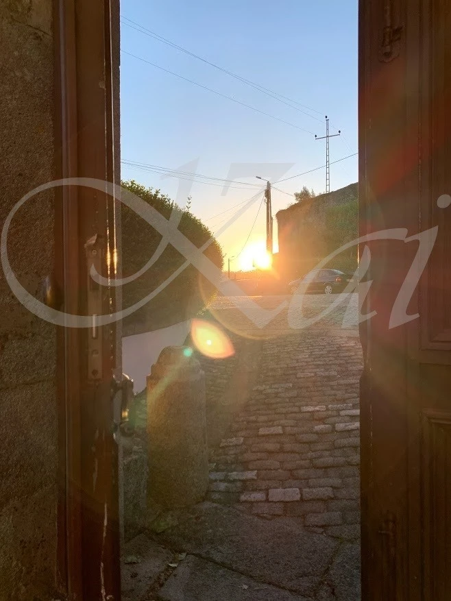 3_f65Ud018svc8c0y6qck41ck_wocx9r.jpg?type=e1920_std