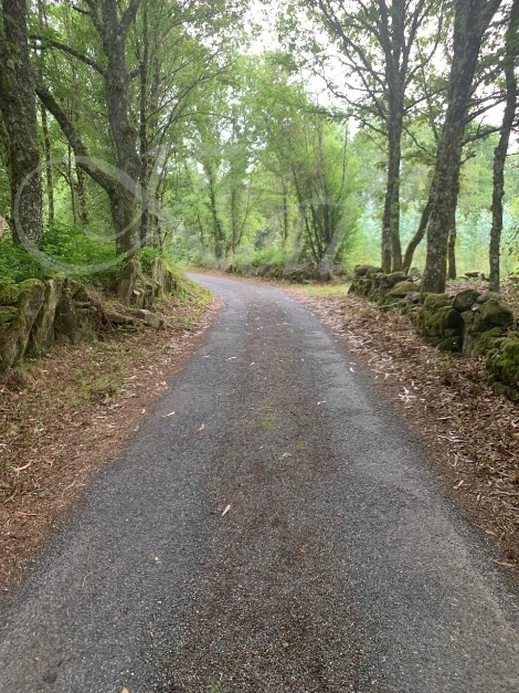 7_c1iUd018svcf43miu8338p1_wocx9r.jpg?type=e1920_std