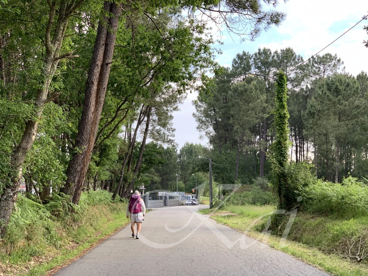 4_g86Ud018svc141cwd1uoklmx_wocx9r.png?type=e1920_std