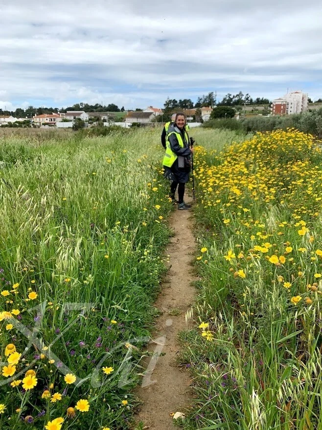 8OLF5FHpxGFb5aFYKsRKKMwadHg