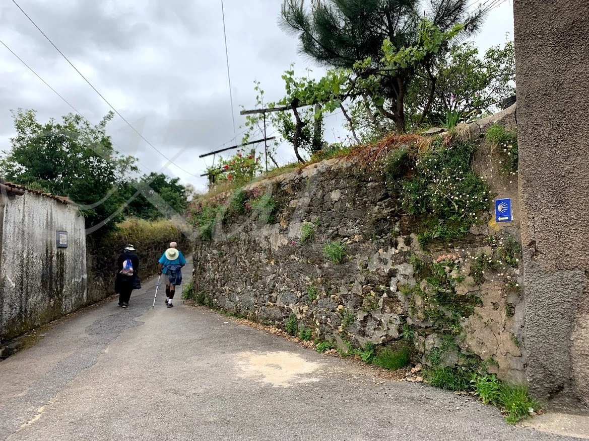 c_8a5Ud018svc1ekl1pye3xrpy_wocx9r.jpg?type=e1920_std