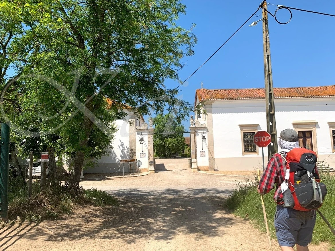 1_6c0Ud018svc1go57b7k7dv8q_wocx9r.jpg?type=e1920_std