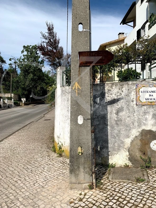 8_a4jUd018svc1gplq2g346ot6_wocx9r.jpg?type=e1920_std