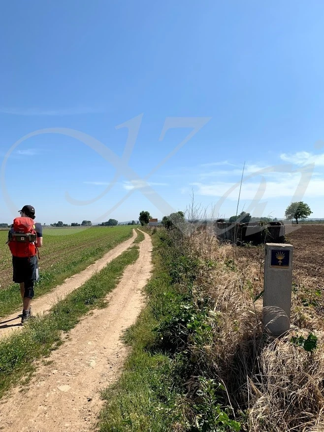 j_7bjUd018svcb0vnganpbivl_wocx9r.jpg?type=e1920_std