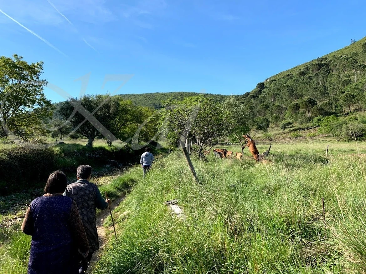 2_c4jUd018svc1qnkf5rfybpn0_wocx9r.jpg?type=e1920_std