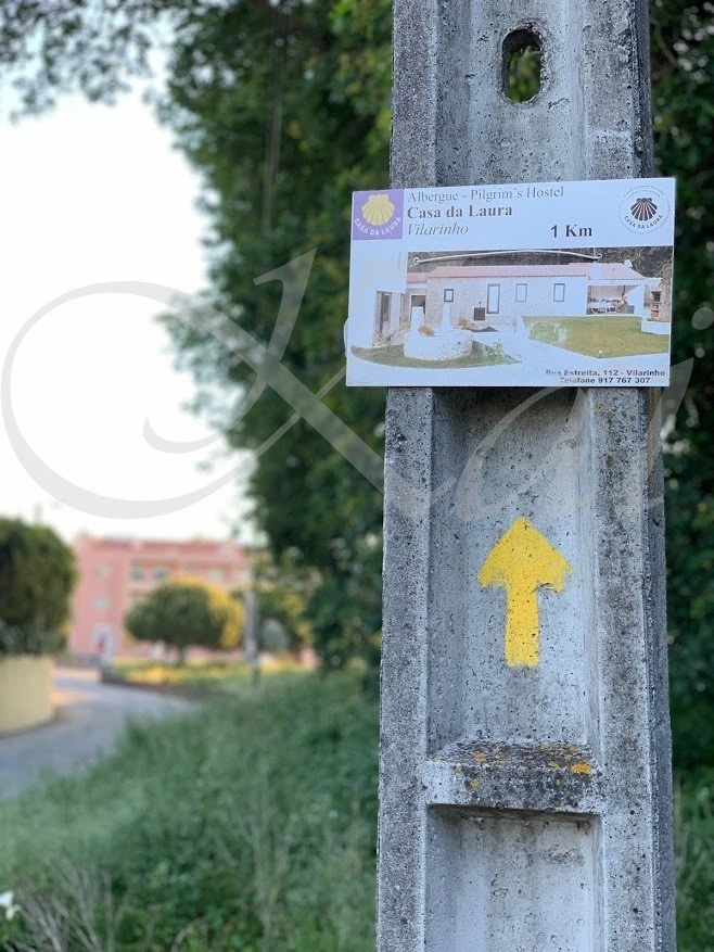 4_d65Ud018svc1cmr36qeekt08_wocx9r.jpg?type=e1920_std