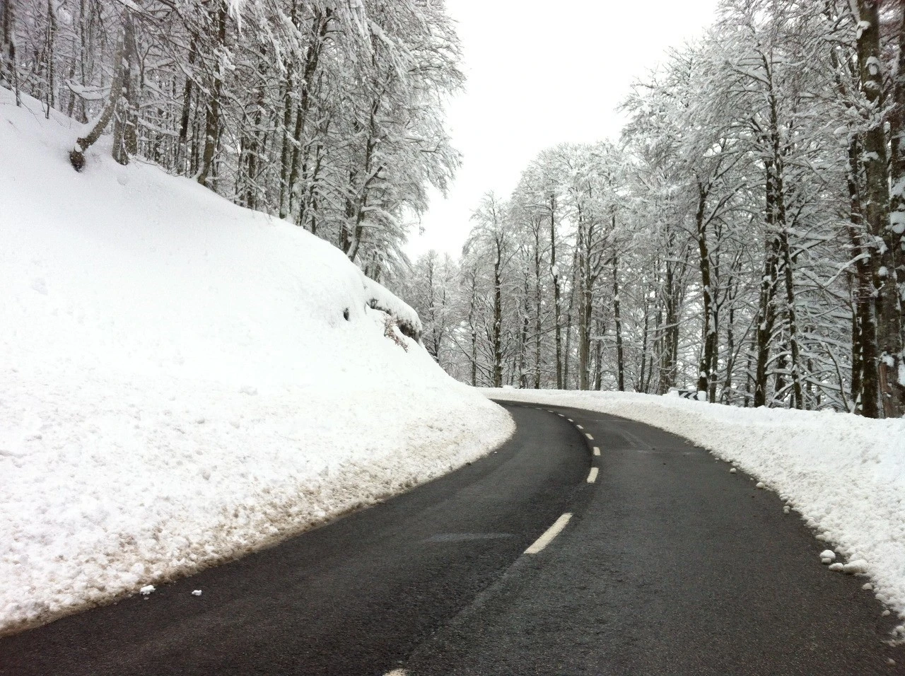 3_63jUd018svc1cxtjwdsmjcf_wocx9r.jpg?type=e1920_std