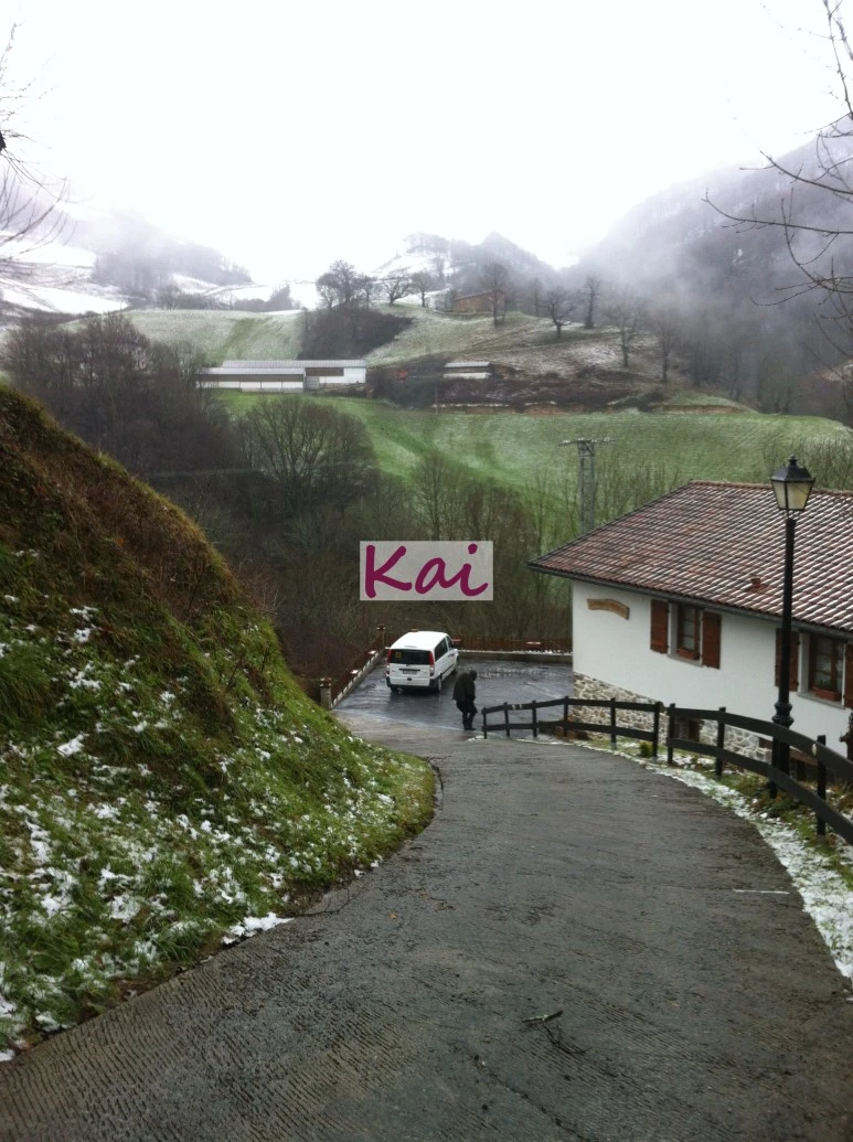 image_55053971515607631909.jpg?type=w773