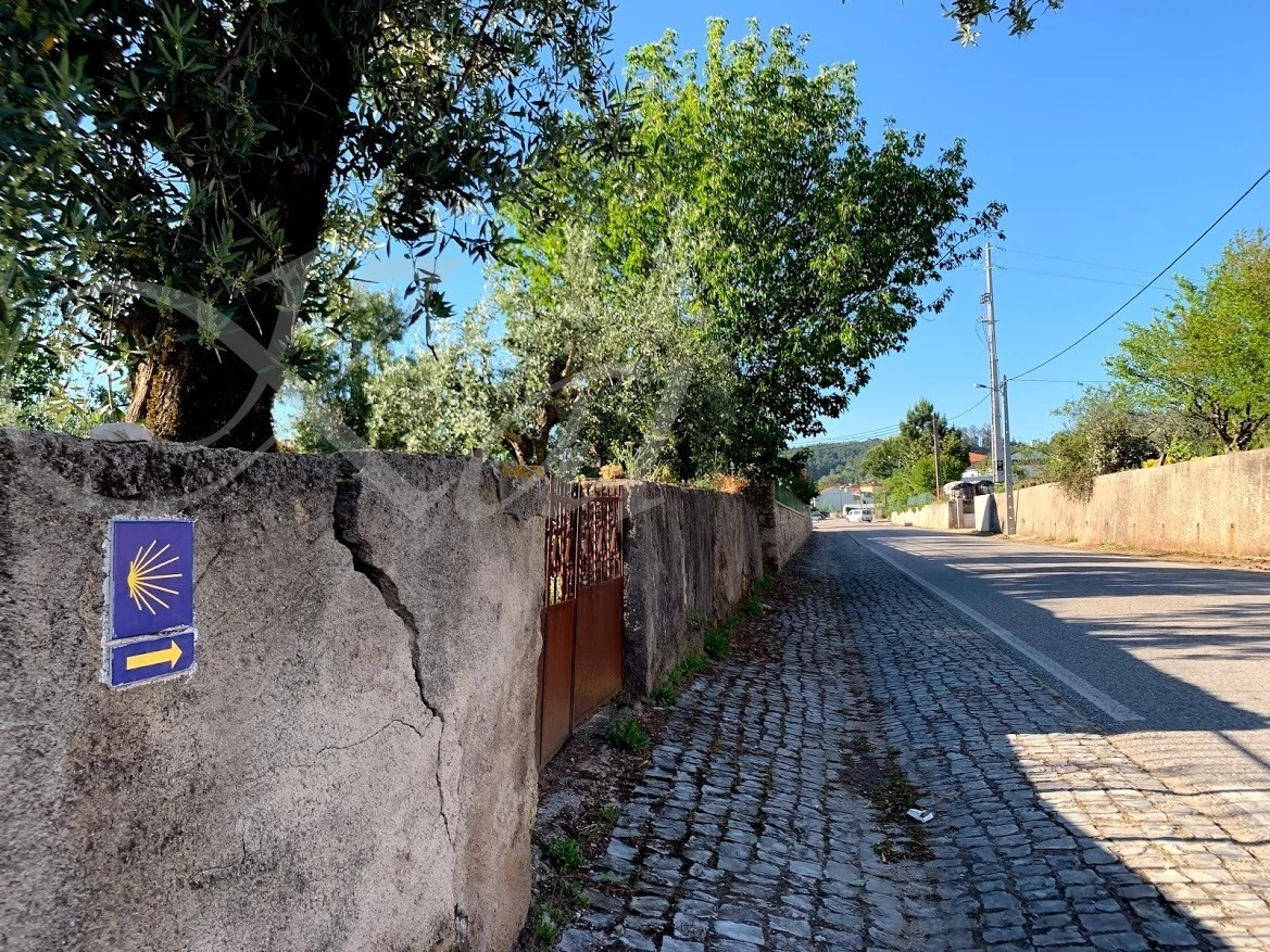 i_cc7Ud018svcw6eyqd4mjofy_wocx9r.jpg?type=e1920_std