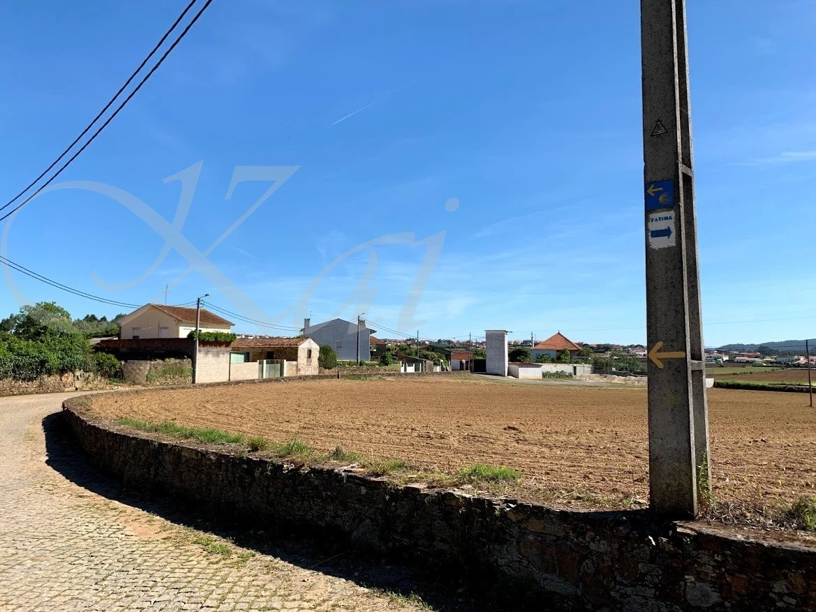 9_365Ud018svcmxz2ojr999cx_wocx9r.jpg?type=e1920_std