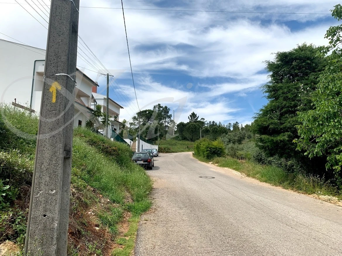 5_i4jUd018svc134p3osea5yry_wocx9r.jpg?type=e1920_std