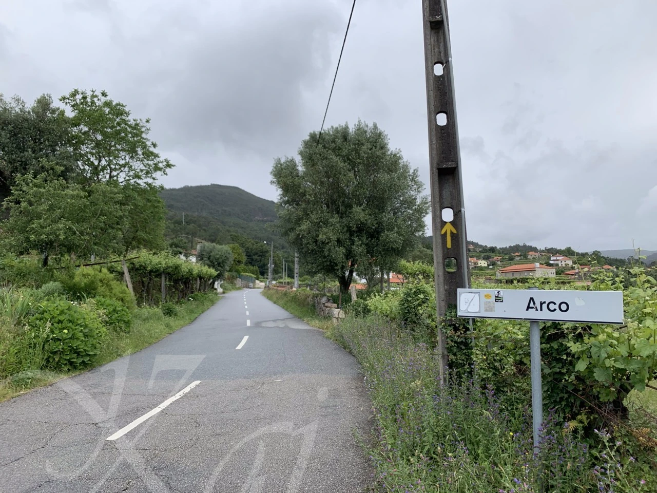 2_758Ud018svc18i6lm9vr9kpy_wocx9r.png?type=e1920_std