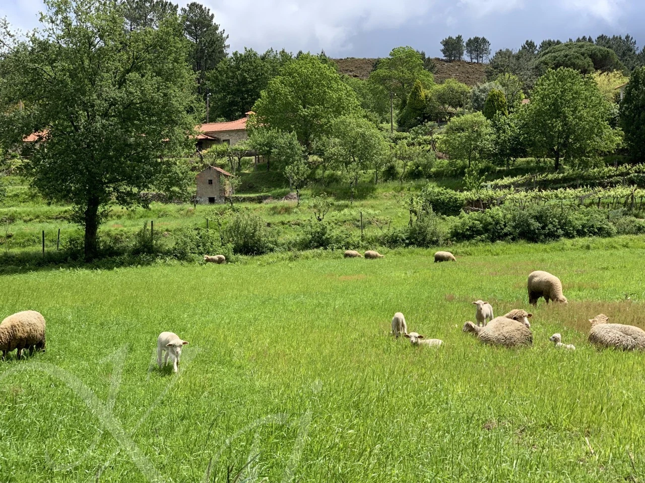 9_a5bUd018svc11bnh781vxkka_wocx9r.png?type=e1920_std