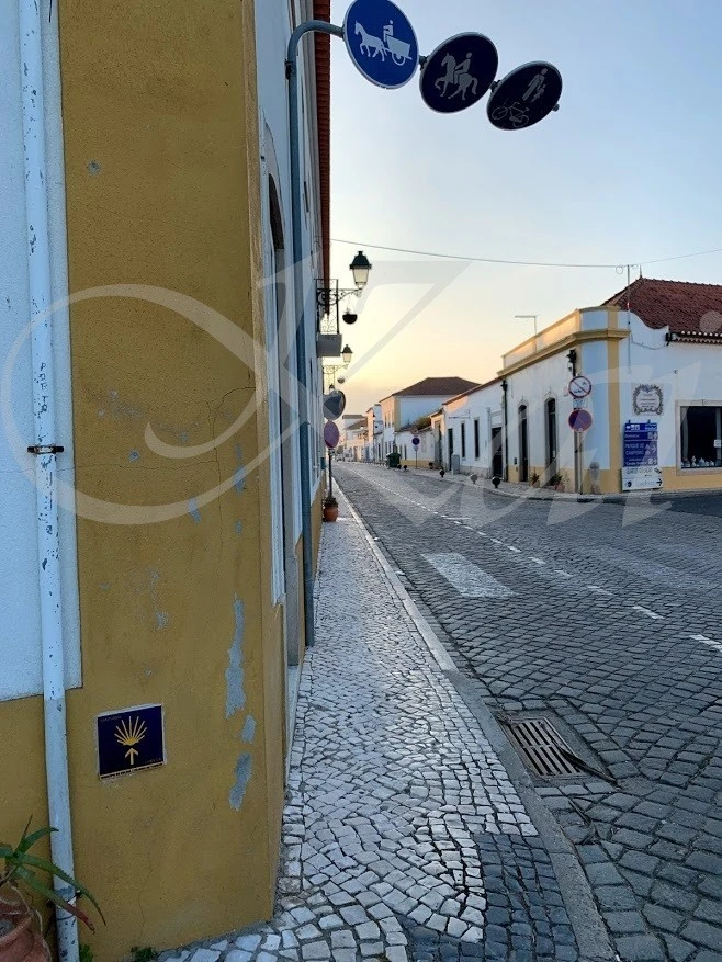 g_704Ud018svc1o3xmfkktnfyz_wocx9r.jpg?type=e1920_std