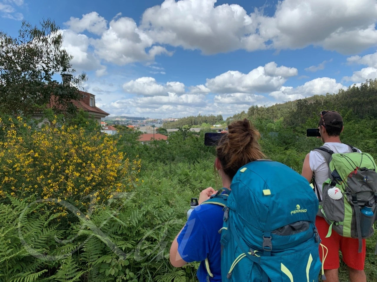 j_56cUd018svcgei5jm5ggoic_wocx9r.jpg?type=e1920_std