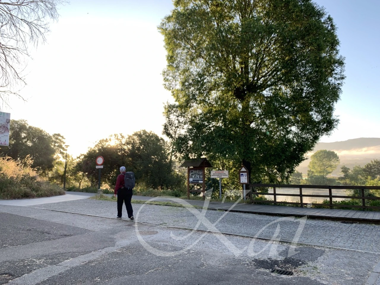 h_f9bUd018svc135n96y10u39k_wocx9r.png?type=e1920_std