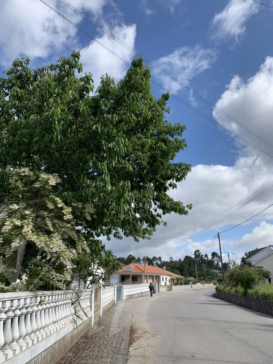 2_iefUd018svc3f0j6aiik45q_wocx9r.png?type=e1920_std