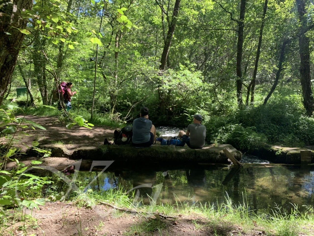 b_dd3Ud018svc1m25t4ub7x30_wocx9r.png?type=e1920_std