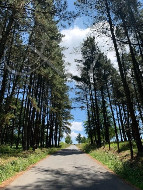 6_g2gUd018svc1og8msgkooe1v_wocx9r.jpg?type=e1920_std