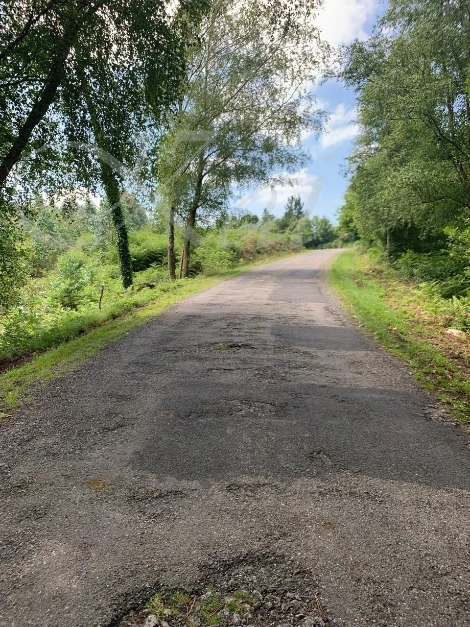 6_82gUd018svc1dfzbwd0x0749_wocx9r.jpg?type=e1920_std