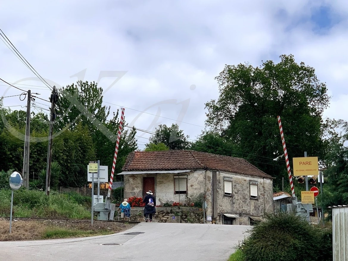 d_0a5Ud018svc1kaghj3k32bcz_wocx9r.jpg?type=e1920_std