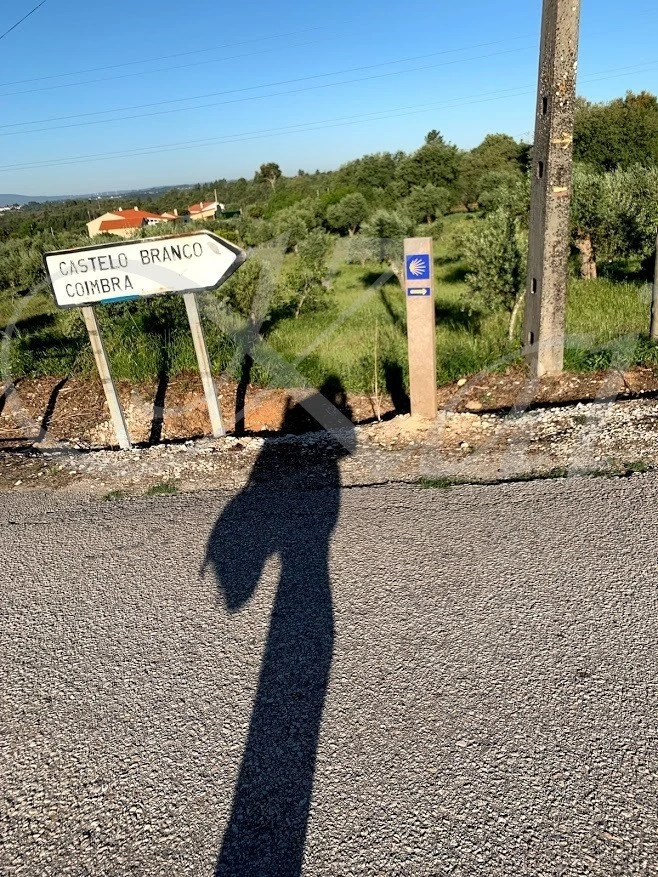 c_6c7Ud018svc1phrsapiucf1r_wocx9r.jpg?type=e1920_std