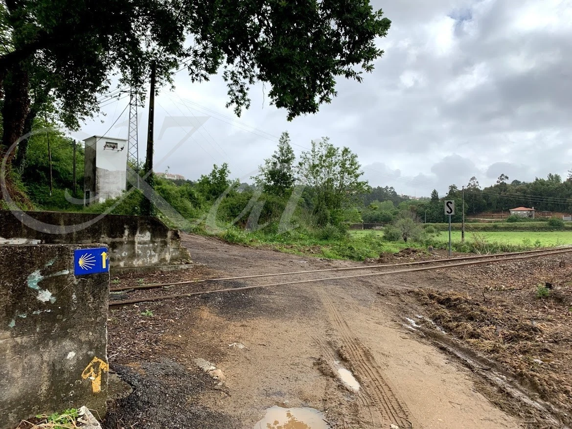 6_8a5Ud018svcy8pydnf31kjm_wocx9r.jpg?type=e1920_std