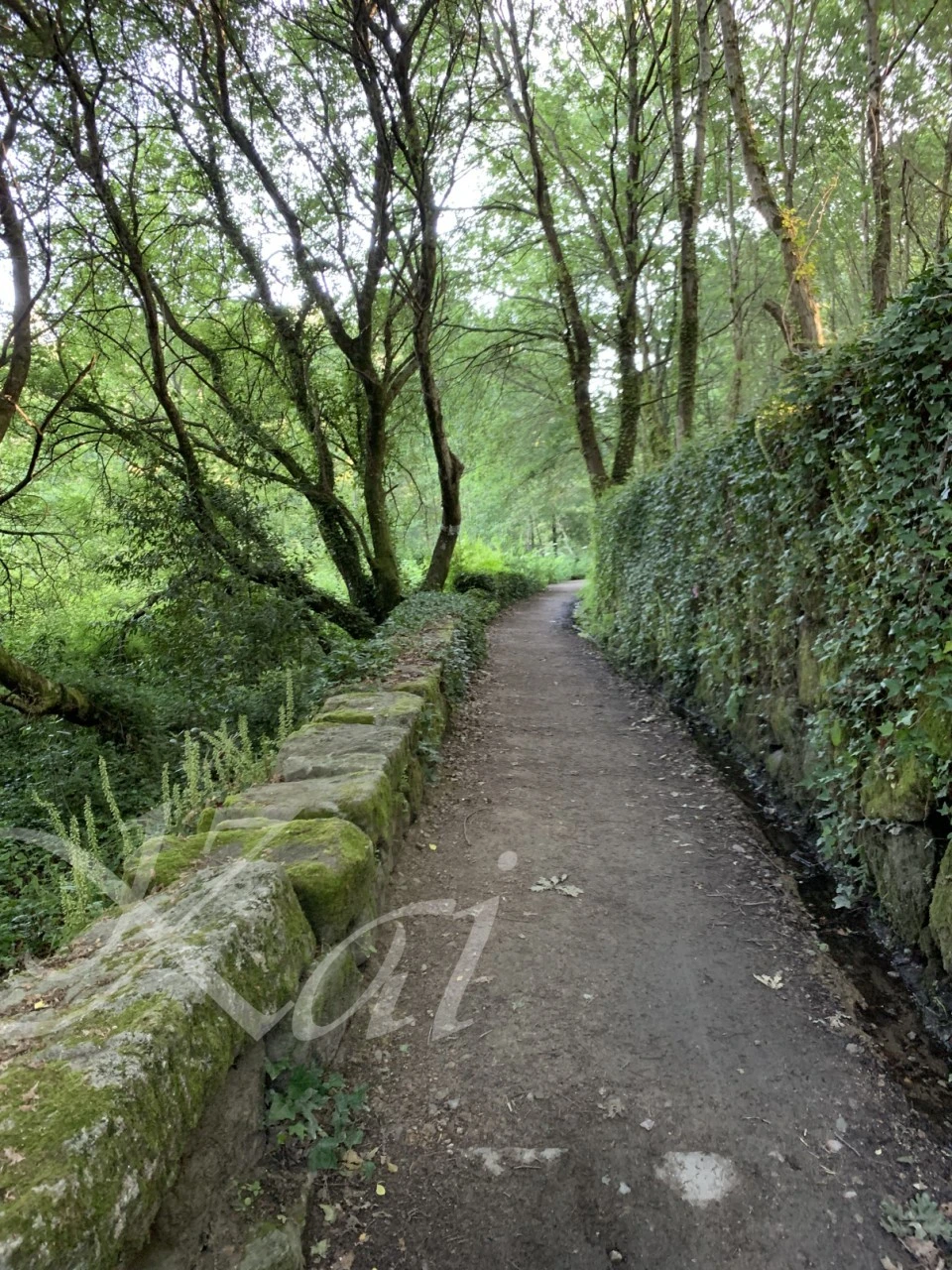 f_2d2Ud018svc1vvpix3xap2cb_wocx9r.png?type=e1920_std