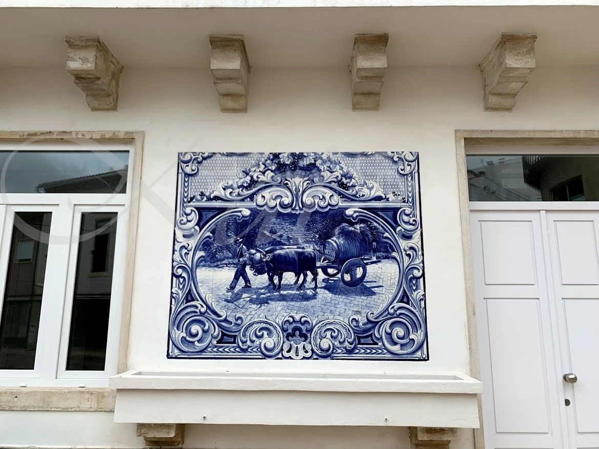 3_78dUd018svcyqpe7c24p93v_wocx9r.jpg?type=e1920_std