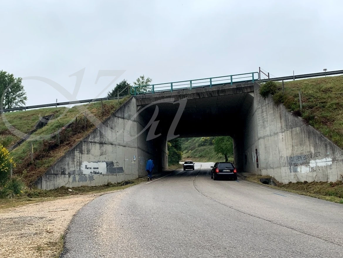 0_48dUd018svctube5ela3cy1_wocx9r.jpg?type=e1920_std