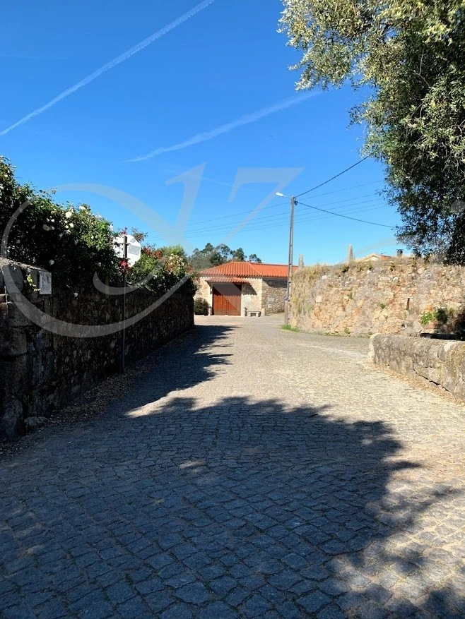 8_c65Ud018svc1e55yxlxyapqc_wocx9r.jpg?type=e1920_std