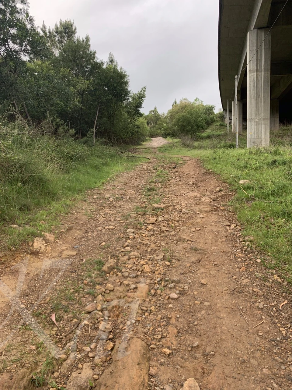 8_b57Ud018svc12bt8x03syg85_wocx9r.png?type=e1920_std