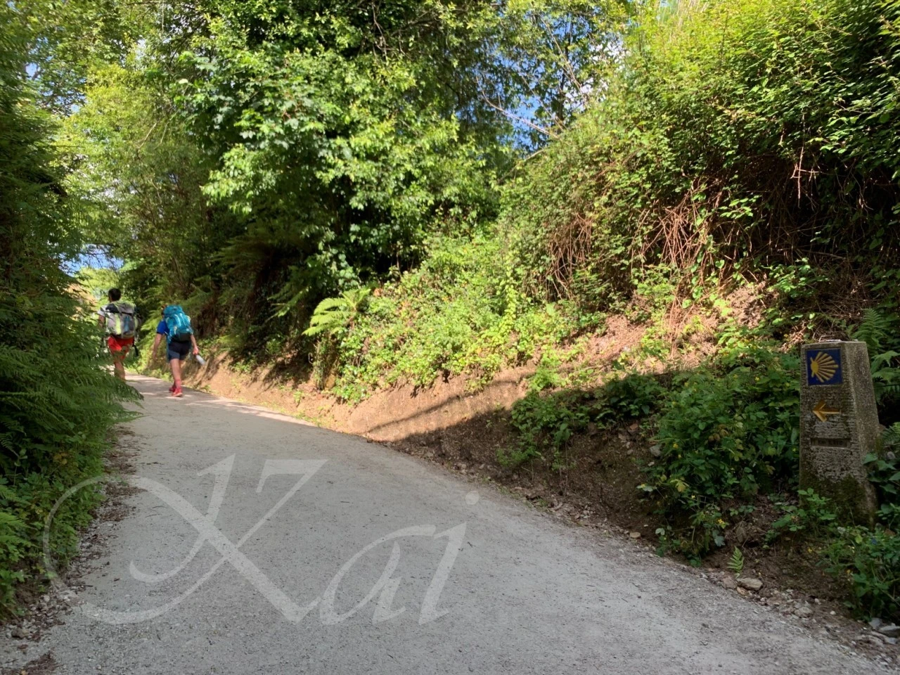 j_a6cUd018svc1o8ab1l543e6n_wocx9r.jpg?type=e1920_std