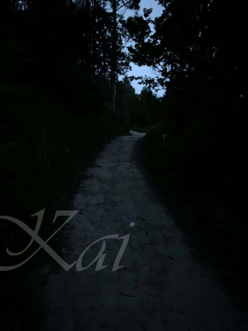 a_46cUd018svccvurp2r7c460_wocx9r.jpg?type=e1920_std