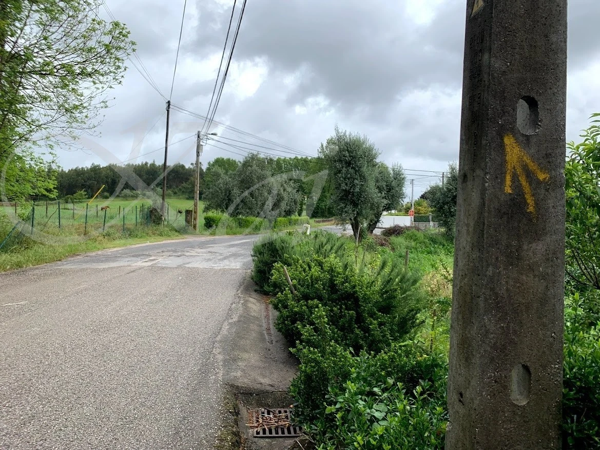 i_1fiUd018svcq80zx563agil_wocx9r.jpg?type=e1920_std