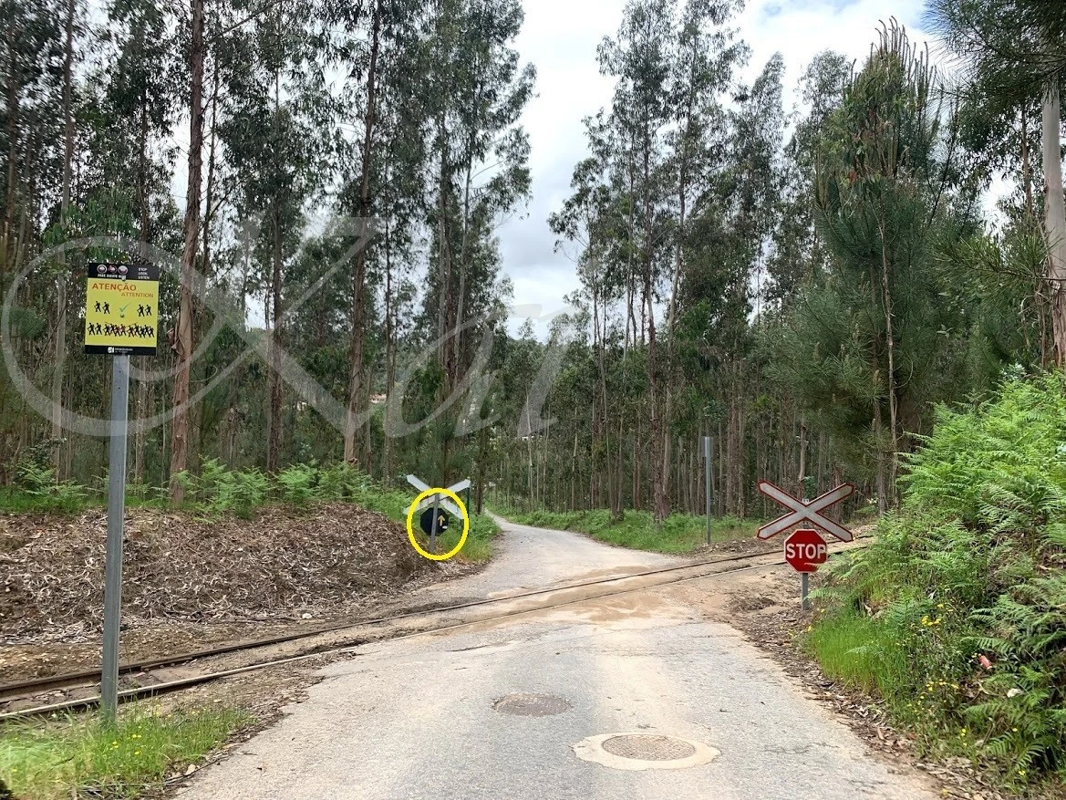 a_ia5Ud018svc4eeomk59tmre_wocx9r.jpg?type=e1920_std