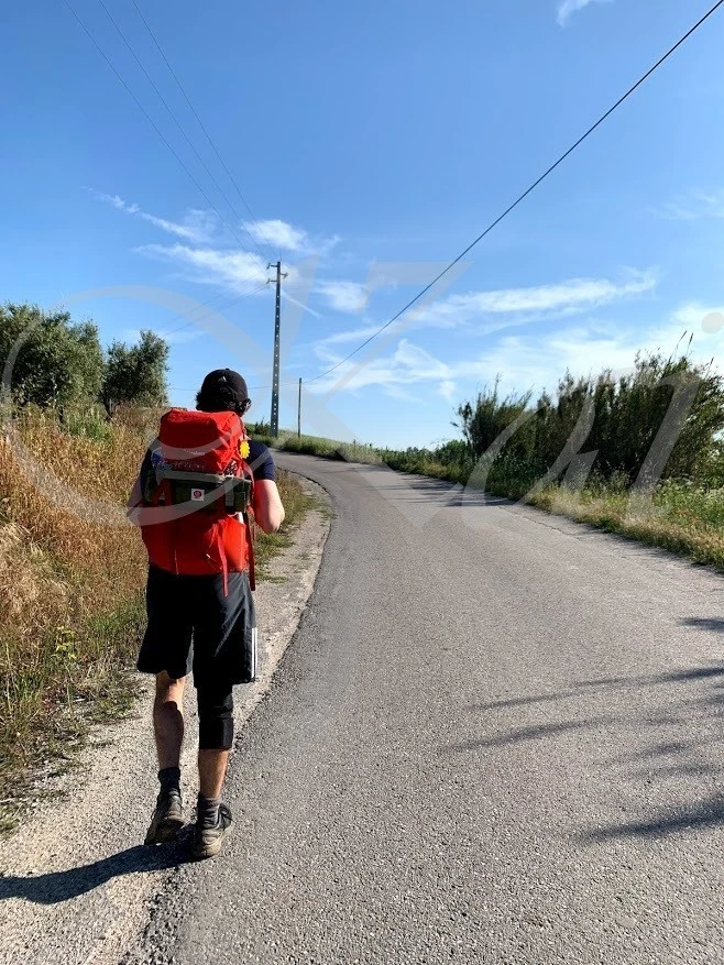 i_0bjUd018svczjghm32ent1c_wocx9r.jpg?type=e1920_std