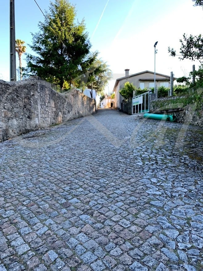 6_565Ud018svc8hsarg1k10n7_wocx9r.jpg?type=e1920_std