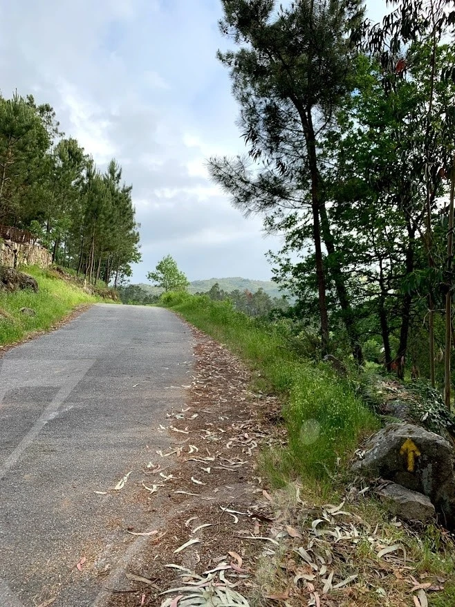 b_9daUd018svcz3dyg91uh48i_wocx9r.jpg?type=e1920_std