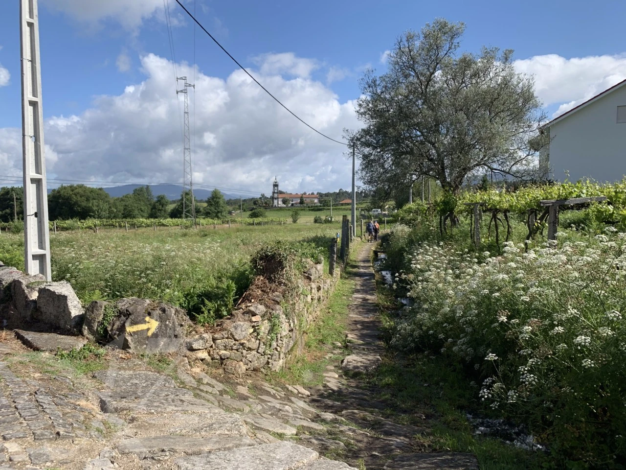 g_heeUd018svchu7swvuit7bd_wocx9r.png?type=e1920_std