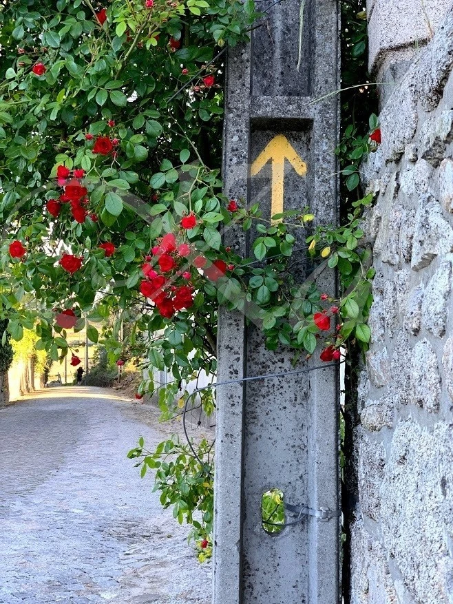 6_j65Ud018svcv9fxzzvgg19x_wocx9r.jpg?type=e1920_std