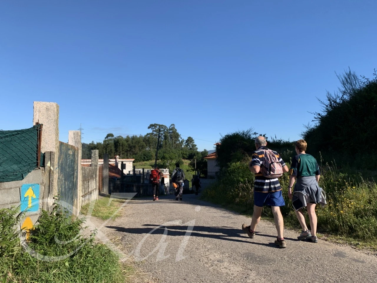 0_1d3Ud018svcrxmedjaawilq_wocx9r.png?type=e1920_std