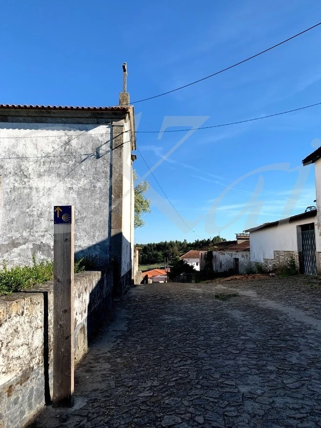 7_965Ud018svcu7gp9uefuino_wocx9r.jpg?type=e1920_std