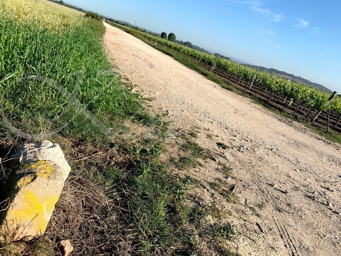 h_hbjUd018svc7kp8q91ssotk_wocx9r.jpg?type=e1920_std