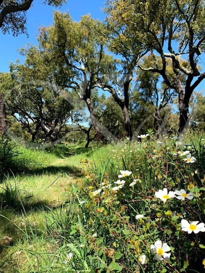 g_dc7Ud018svc14n7m88zhieyz_wocx9r.jpg?type=e1920_std